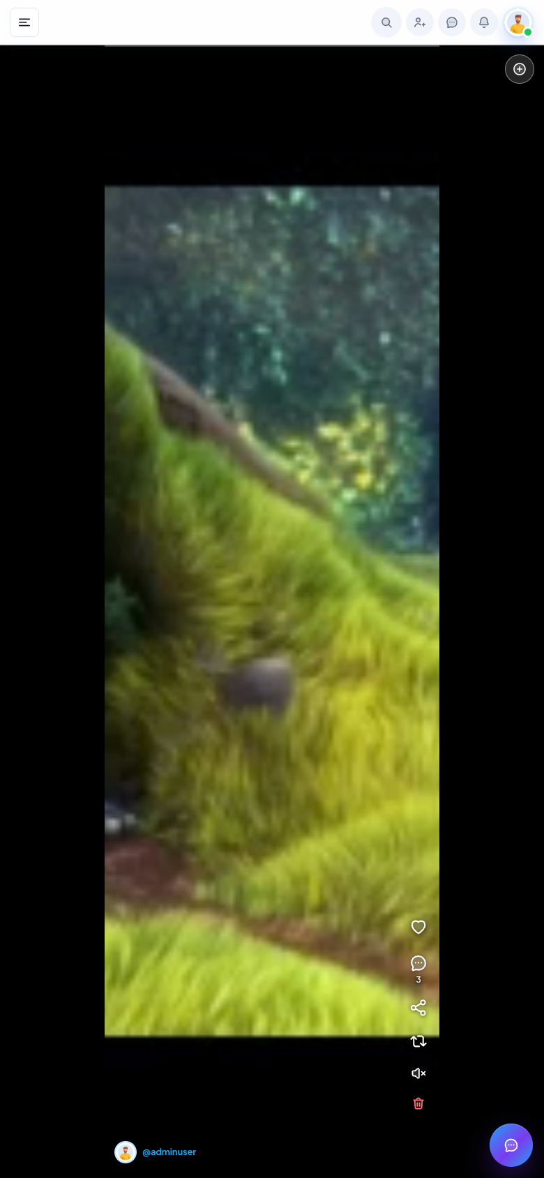 Reels feed